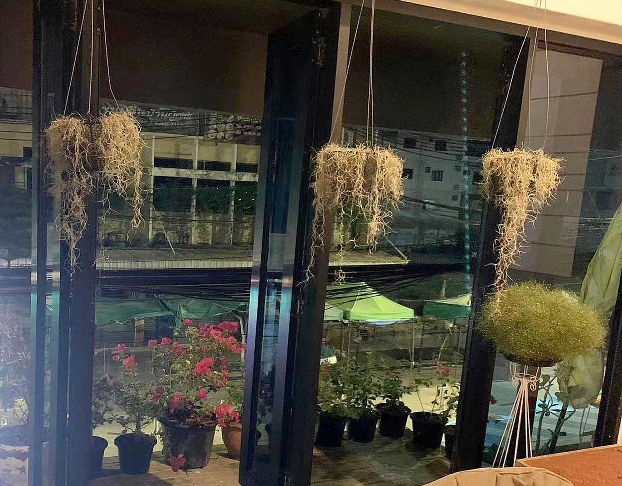 Skylark Bangkok 云雀 Apartment Luaran gambar
